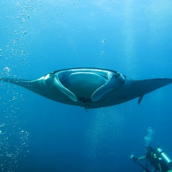 Meet your Posher, Jean - Picture 5 of 8